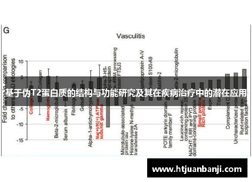 基于伪T2蛋白质的结构与功能研究及其在疾病治疗中的潜在应用